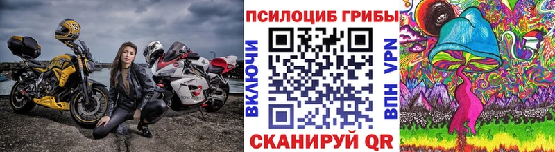 Псилоцибиновые грибы Cubensis  OMG ССЫЛКА  Княгинино 