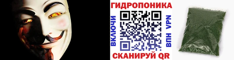 KRAKEN как зайти  Княгинино  Бошки марихуана Amnesia 